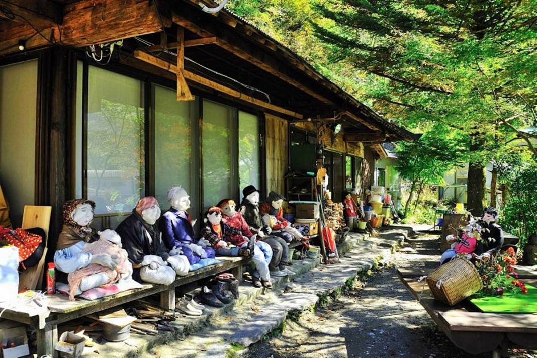 Bu köye gelenler gözlerine inanamıyor: Tüyler ürperten manzara! Hepsi yetişkin insan boyutlarında 33